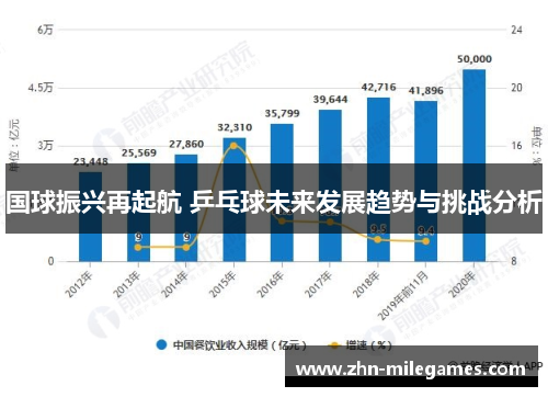 国球振兴再起航 乒乓球未来发展趋势与挑战分析 国球振兴再起航 乒乓球未来发展趋势与挑战分析