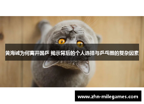 黄海诚为何离开国乒 揭示背后的个人选择与乒乓圈的复杂因素 黄海诚为何离开国乒 揭示背后的个人选择与乒乓圈的复杂因素