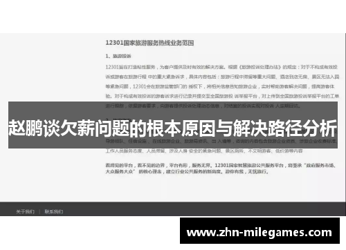 赵鹏谈欠薪问题的根本原因与解决路径分析
